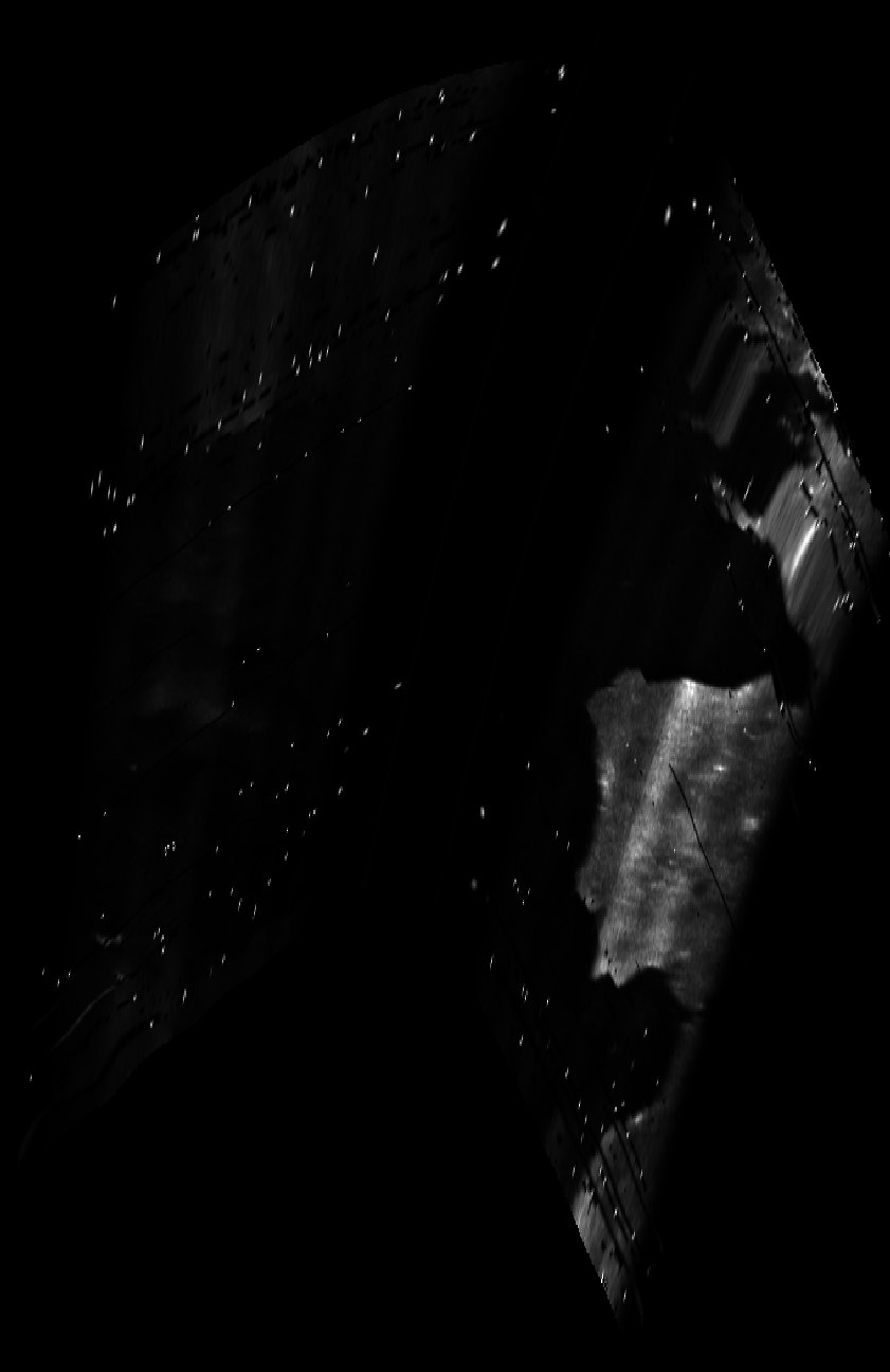 ascat_grayscale_proj_forward.png